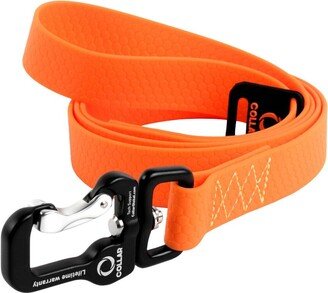 Waudog World's strongest dog leash