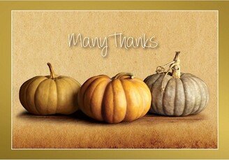 Great Papers! 50ct Fall Pumpkins Thank You Note Cards