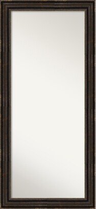 Non-Beveled Wood Full Length Floor Leaner Mirror 30.25 x 66.25 in. - Stately Bronze Frame - Stately Bronze - 30 x 66 in