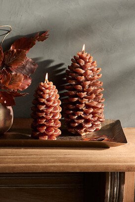 Pine Cone Candle