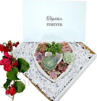 Diy-Gift | Together Forever Heart Shaped Assorted Succulents Gift Box Inspirational Spiritual Bible Quotes Verse Self-Love Gifts Wedding