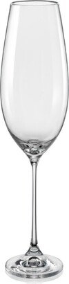 Viola Red Wine Glass 18.5 Oz, Set of 6