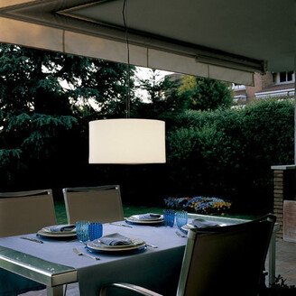 Carpyen Harry Outdoor Pendant Light