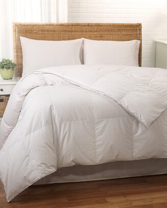 Nikki Chu White Goose Down Hypoallergenic Comforter