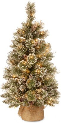 National Tree Company 3' Glittery Bristle Pine Burlap Tree with 7 White Tipped Cones & 35 Warm White Battery Operated Led Lights w/Timer