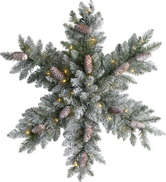 30in. Pre-Lit Flocked Snowflake Artificial Dunhill Fir Wreath with Pinecones and 40 LED Lights