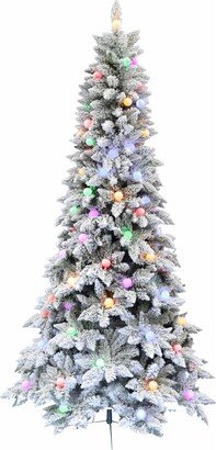 7.5-Foot Pre-Lit White Tail Pine Snow Flocked Christmas Tree with Colorful G40 Bulbs