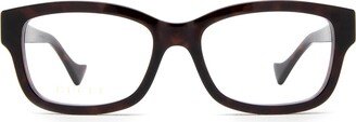 Gg1259o Havana Glasses