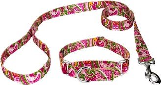 Country Brook Petz Pink Paisley Martingale Dog Collar and Leash (1 Inch, Medium)