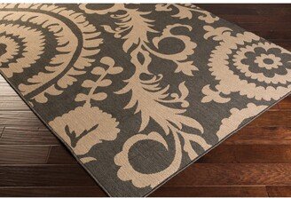 Alfresco Alf-9615 Black 8'9 x 12'9 Area Rug, Indoor/Outdoor