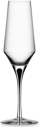 Metropol Champagne Glass