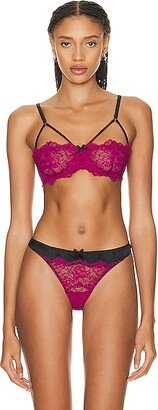 Roxy Lace Half Cup Bra in Fuchsia