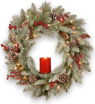 National Tree Company National Tree Bristle Berry Wreath