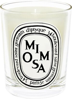 Mimosa candle 190 g