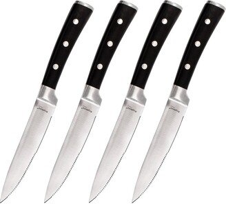 Classico 4pc Stainless Steel Steak Knife Set