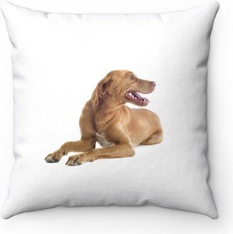 Vizsla Pillow - Throw Custom Cover Gift Idea Room Decor