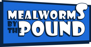 Mealworms by the Pound Promo Codes & Coupons