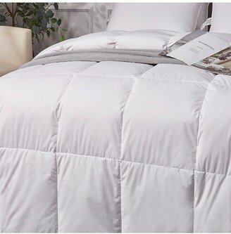 Kathy Ireland Extra Warmth White Down Fiber Comforter - Full/Queen