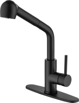 Simplie Fun Black Kitchen Faucets with Pull Down Sprayer, Single Handle Kitchen Sink Faucet with Pull Out Sprayer