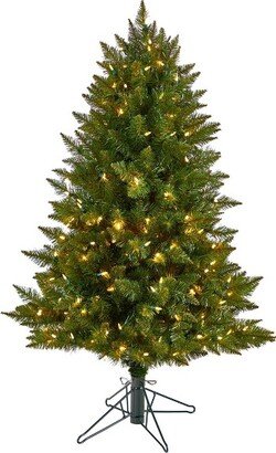 4’ Vermont Spruce Prelit LED Multifunction Light Artificial Christmas Tree