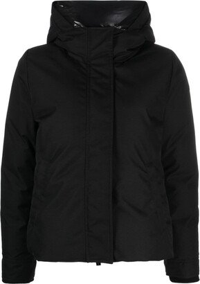 Charlotte hooded puffer jacket