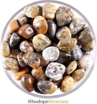 Opal Tumbled Stone, Opal, Stones, Crystal, Rare Gifts, Crystsals, Rocks, Gemstones, Zodiac
