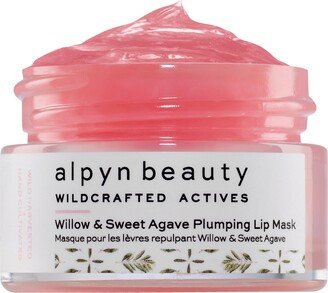 Willow & Sweet Agave Plumping Lip Mask