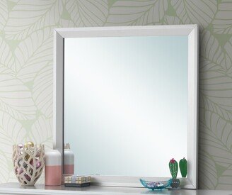 Passion Furniture 36 in. x 36 in. Classic Square Framed Dresser Mirror - N/A