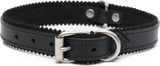 Buckled Dog Collar