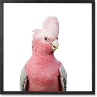 Photo Tiles: Pink Galah Cockatoo Photo Tile, Black, Framed, 8X8, Pink