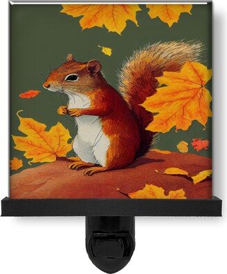 Fall Squirrel Autumn Leaves Art Glass Photo Night Light, Decorative Lights