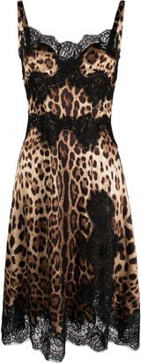 Leopard Print Flared Midi Dress