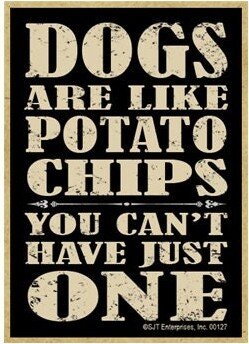 Dogs Are Like Potato Chips You Can't Have Just One Wood Magnet Fridge Kitchen Any Metal Surface Home in USA 2.5x3.5 Free Shipping New D