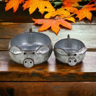 Gray Galvanized Metal Piglet Planters