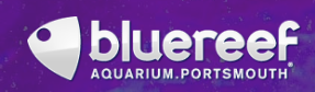 Blue Reef Aquarium Portsmouth Promo Codes & Coupons