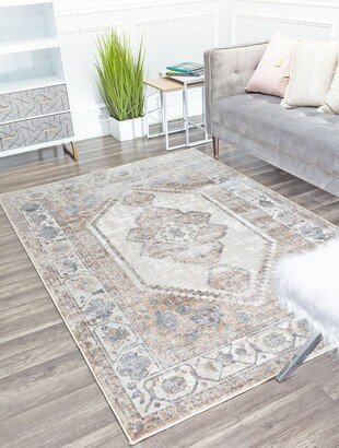 Emali EA40A Almond Vintage Farmhouse Tan Area Rug,