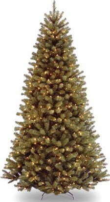 6' Pre-Lit North Valley Spruce Artificial Christmas Tree White Lights - National Tree Company