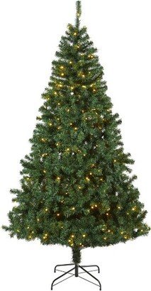 7.5' Northern Tip Pine Prelit LED Artificial Christmas Tree