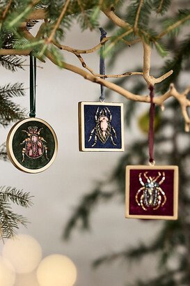 Framed Beetle Ornaments, Set of 3