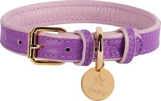 Poisepup Pet Dog Collar - Lavish Lavander