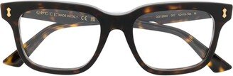 Square-Frame Optical Glasses-AS