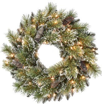 24 Pre-Lit Snowy Wreath with 50 Clear Incandescent Lights