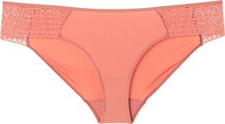 Brief Coral