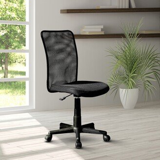 EDWINRAY Home Office Chair Mid Back Mesh Desk Chair Armless Computer Chair, Back Support Adjustable Modern Chair with Lumbar Support