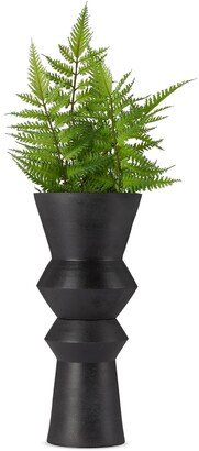 Caudex SSENSE Exclusive Black Aeonium Planter