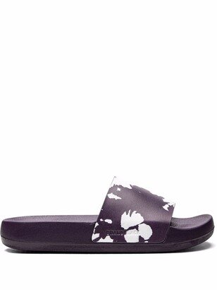 Kashiba-Lux printed slides