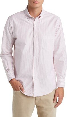 Regular Fit Stripe Cotton Oxford Dress Shirt-AA