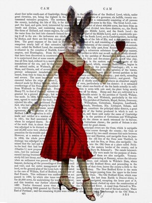 Fab Funky Rabbit in Red Dress Canvas Art - 36.5 x 48