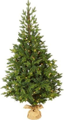 5’ Fraser Fir “Natural Look” Prelit LED Artificial Christmas Tree in Burlap Base