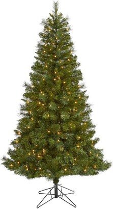 6' Mount Hood Spruce Prelit Artificial Christmas Tree